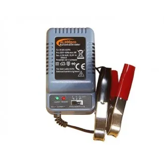 Polnilec akumulatorja 2V-6V-12V